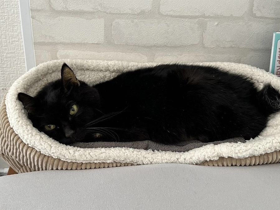 黄疸少し下がりました！