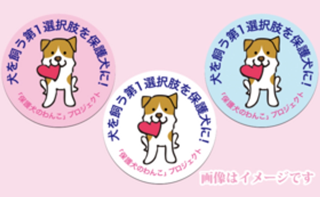 ミニステッカーコース