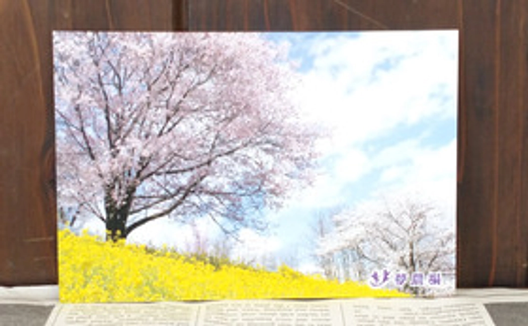 ありがとうnoい