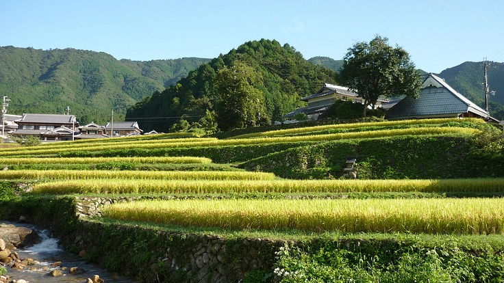 美しい棚田を未来の子どもたちに引き継ぐため15年の実践を本に！