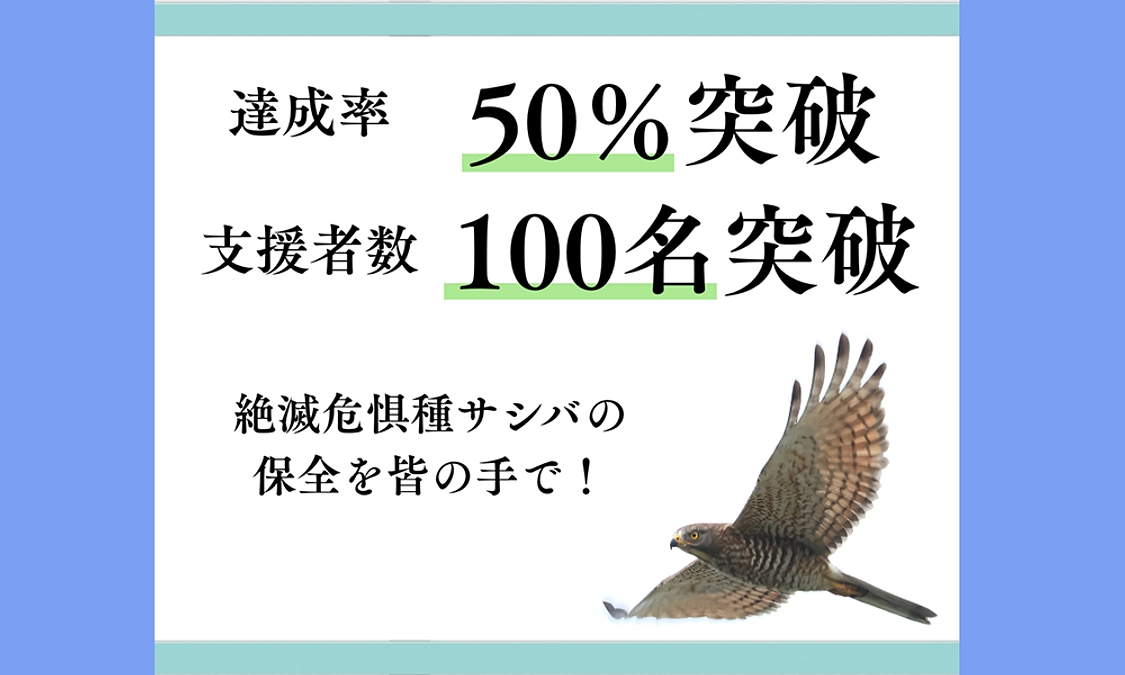 【御　礼】祝支援者100人＆50%突破！