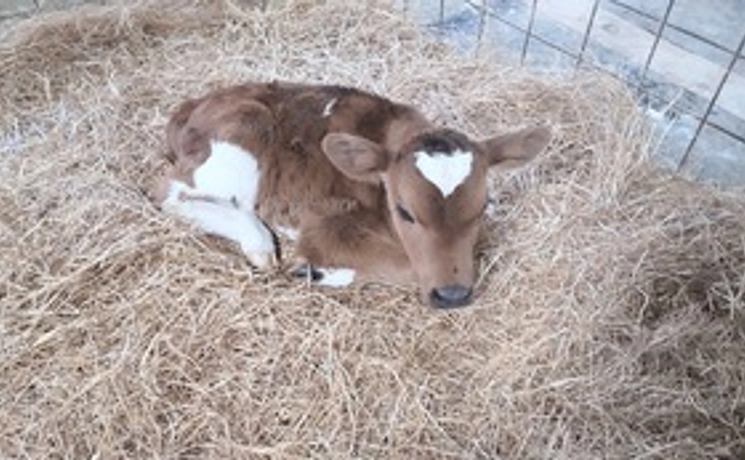 1000円  感謝のメールコース