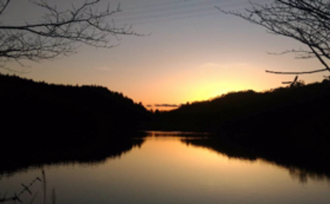 無償の愛応援プラン