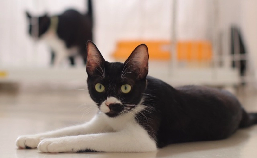 【寄付金控除対象】3千円応援コース