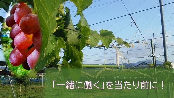 農福連携を広めて「障がいのある人と一緒に働く」を当たり前に！