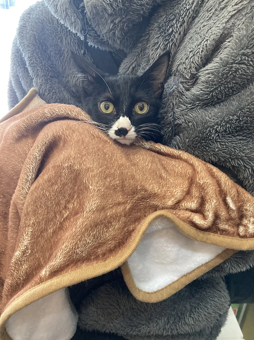 よろしくお願いします🙇‍♀️