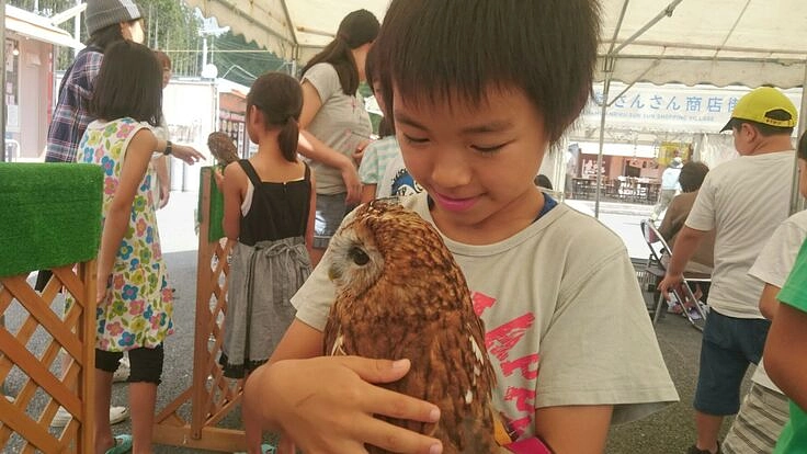 200匹の動物たちの行き先を作るために移転費用を確保したい!