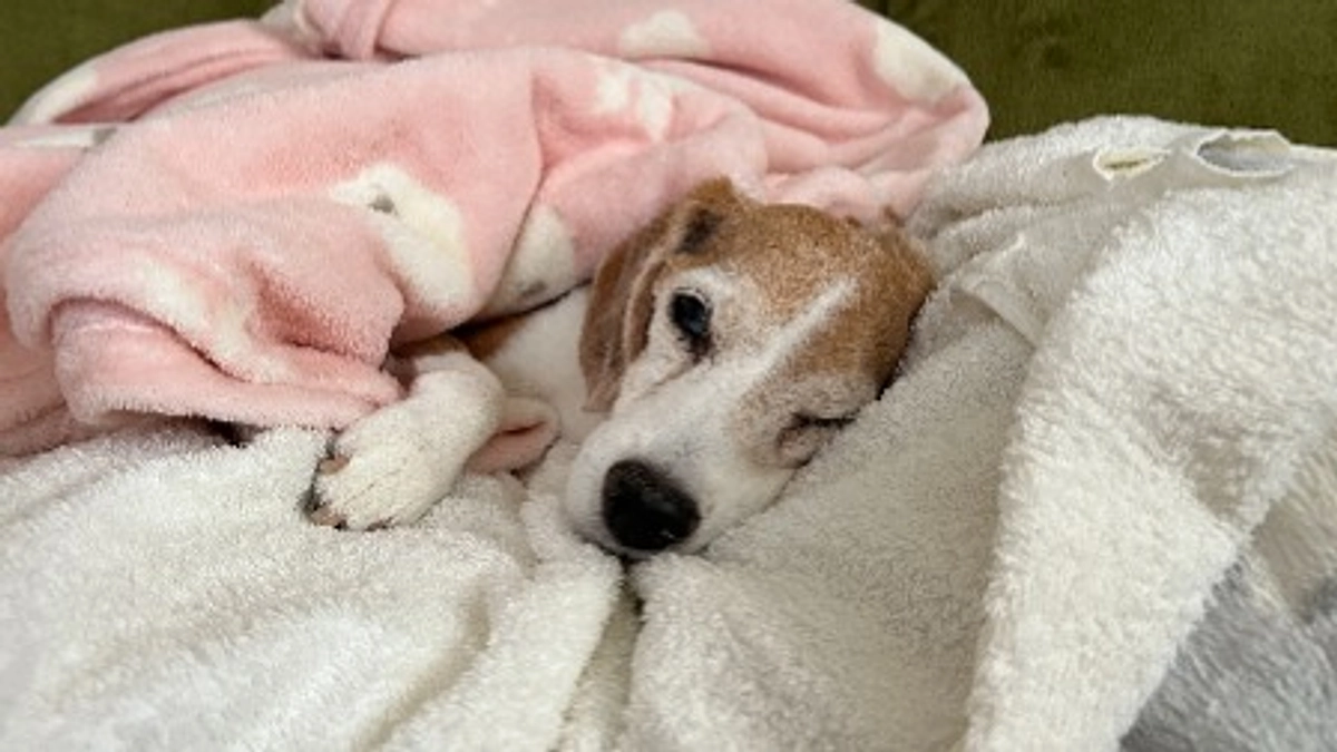 10/25 免疫抑制剤治療7日目 1週間の検査結果。