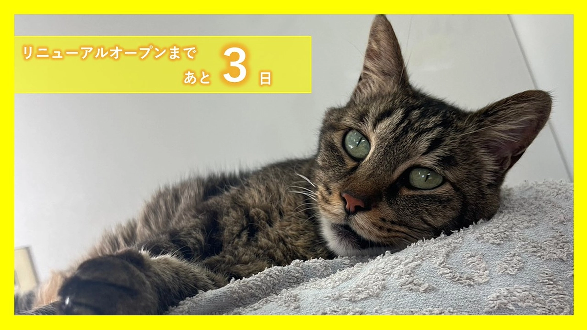 【リニューアルオープンのお知らせ】あと３日