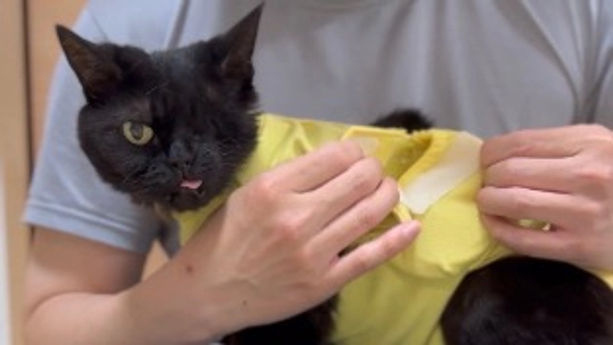 残り10日🙀皆様のご協力をお願い致します