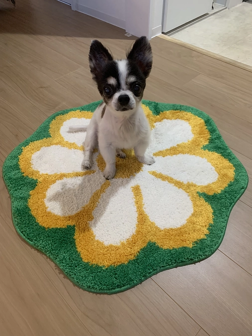 手術について…