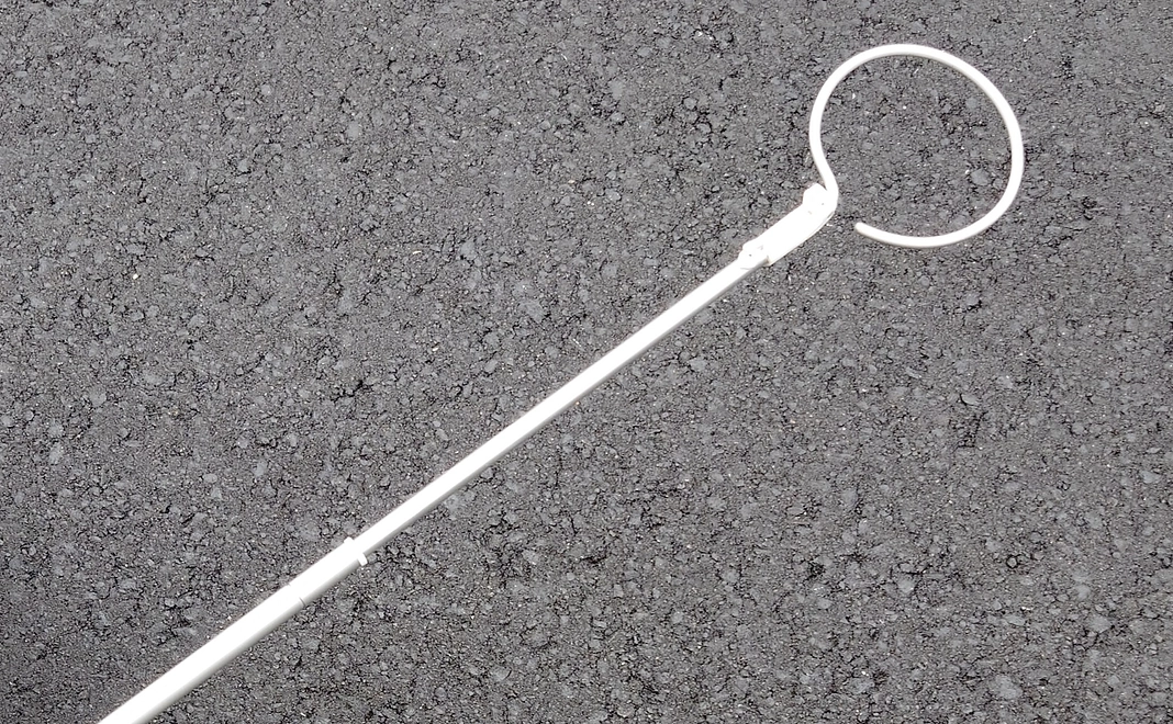 商品化への第一歩