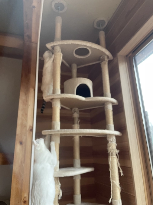 あっという間ですね