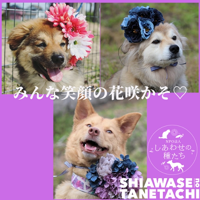 昨日のスタートからの感動！