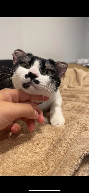 公開中プロジェクトのご紹介！〜ご支援は11月15日(金)  23時まで〜