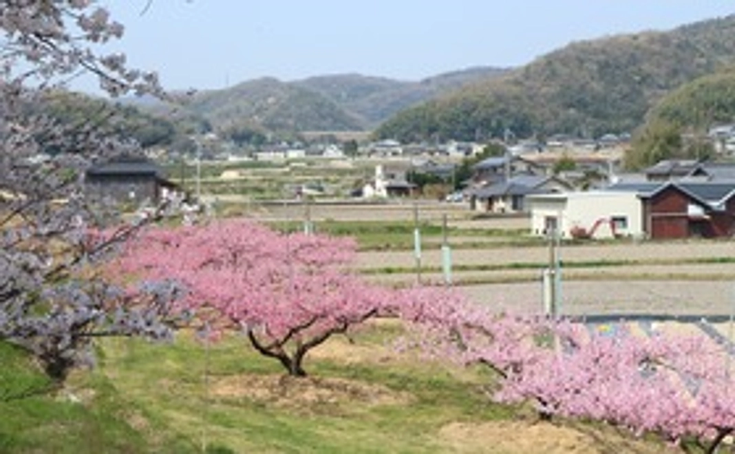 お酒のネーミングに一回応募できる権利。感謝メールをお送りします。