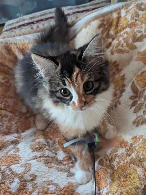 すくすく育ってます😊