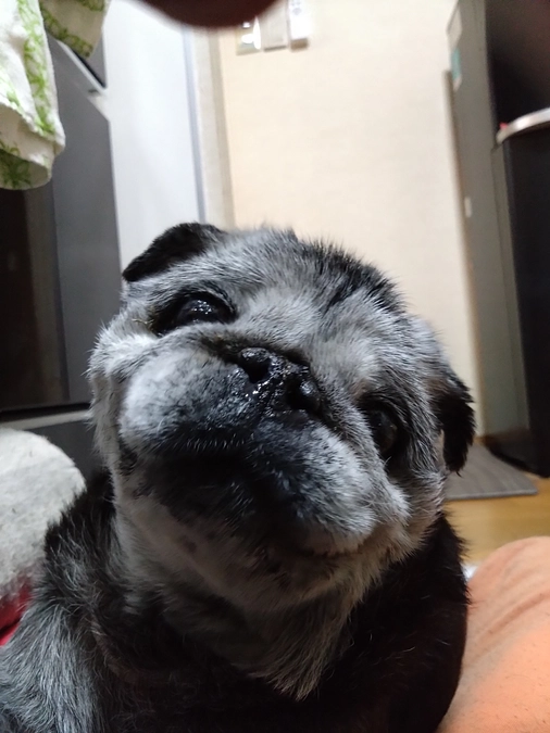 6月9日放射線治療2回目