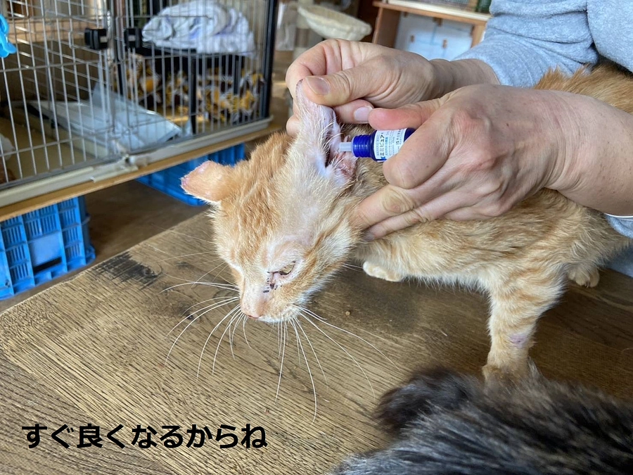 良いご縁につながりますように