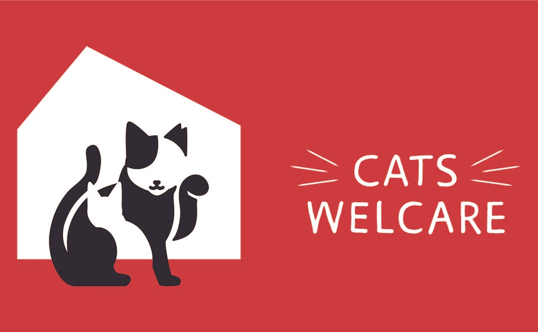 CATSWELCARE応援コース：3,000円