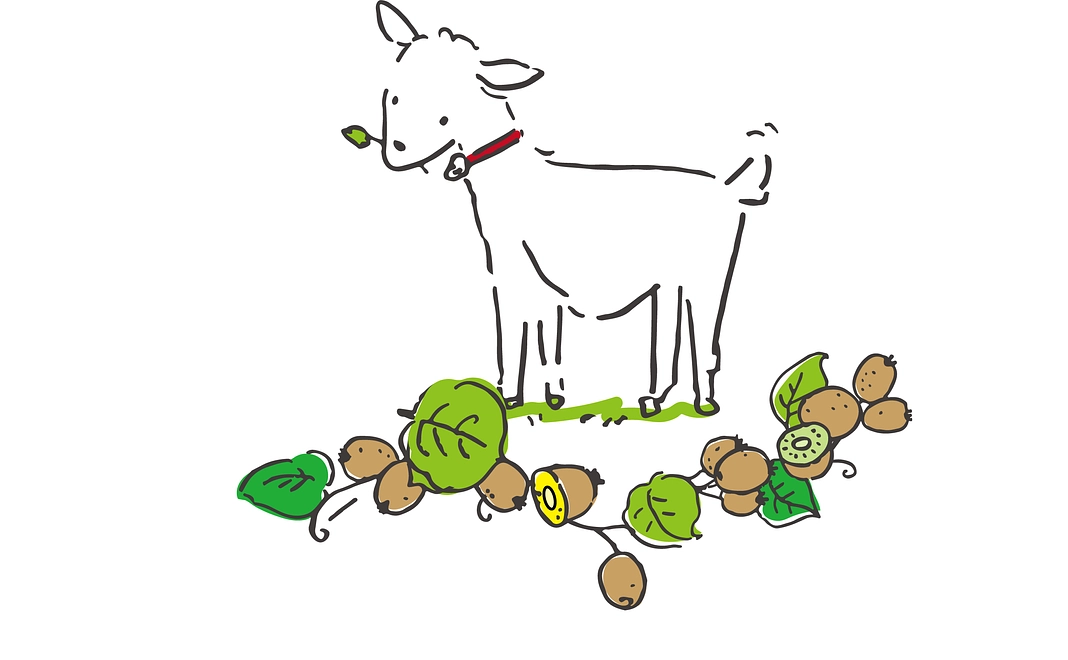 応援Ａ（お礼のメッセージ）