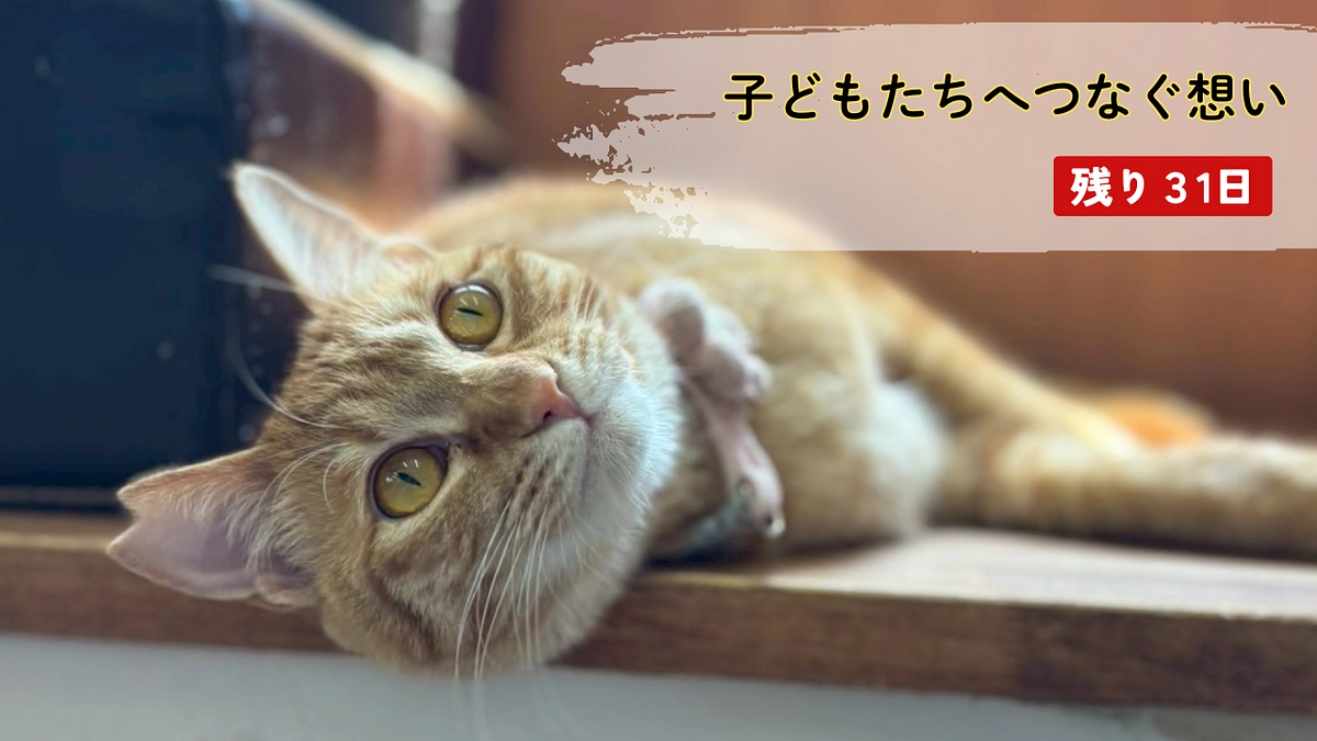子どもたちへつなぐ想い　～猫だけでなく人ともつながる～