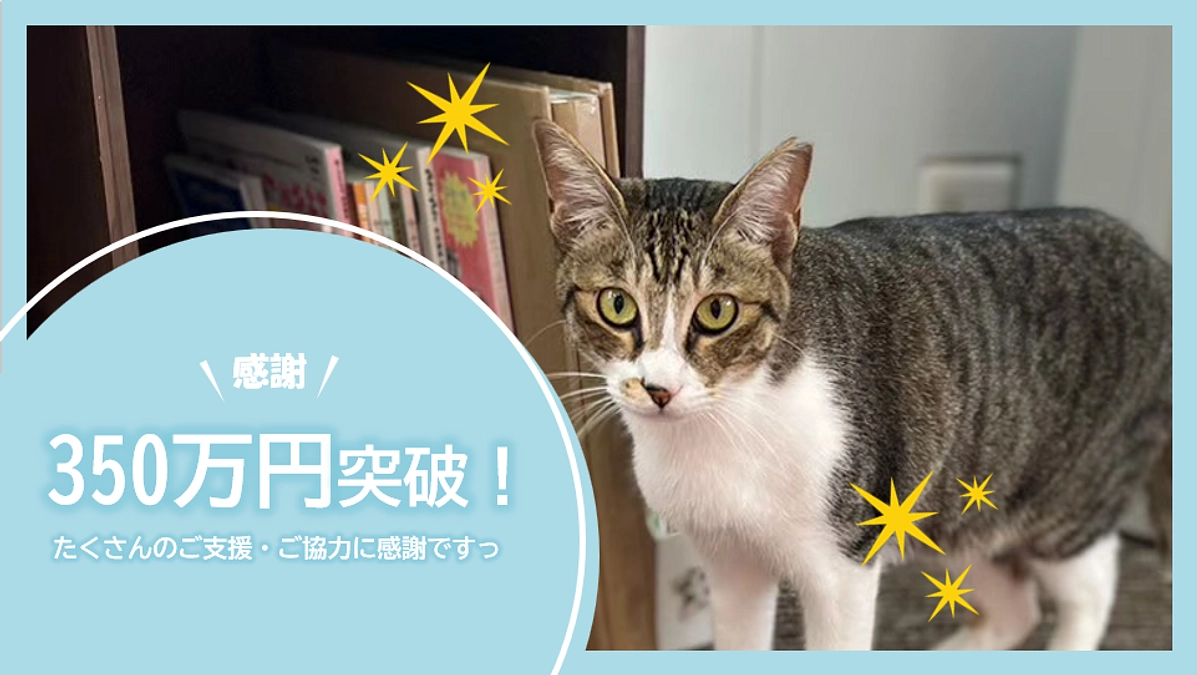 ご支援350万円達成！！たくさんのご支援・ご協力に感謝ですっ