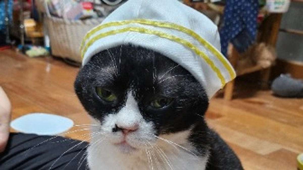 ご無沙汰しております。めっきり寒くなってきました。