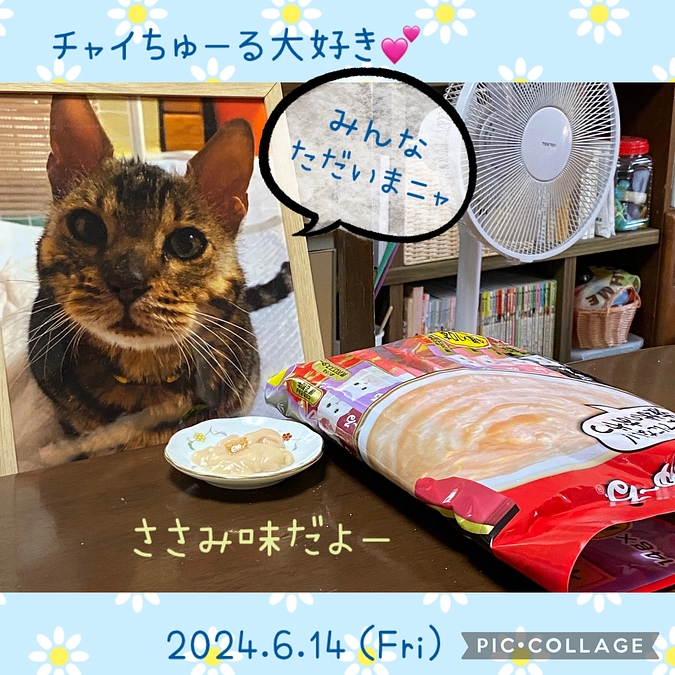 命日🌈　ちゅーるパーティー🎈