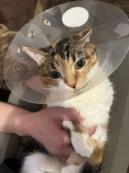 2度目のお家でSUBシステム洗浄