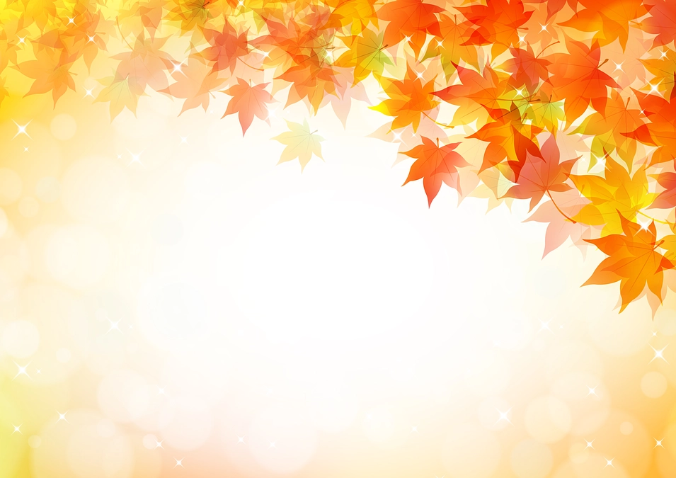 御協力者の御芳名をHPに掲載させていただきました