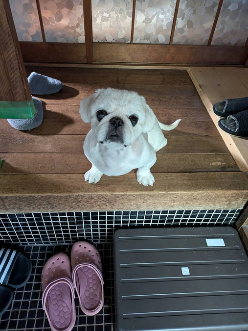 写真データの締め切り案内