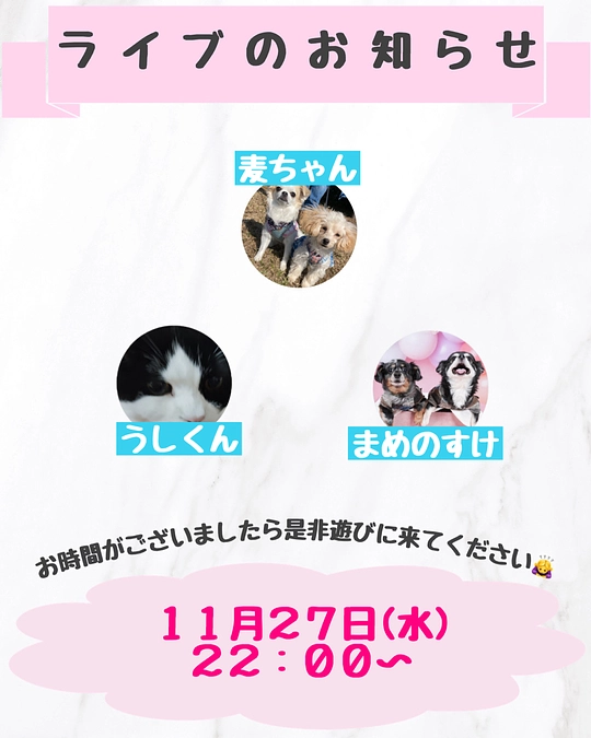 ライブのお知らせ