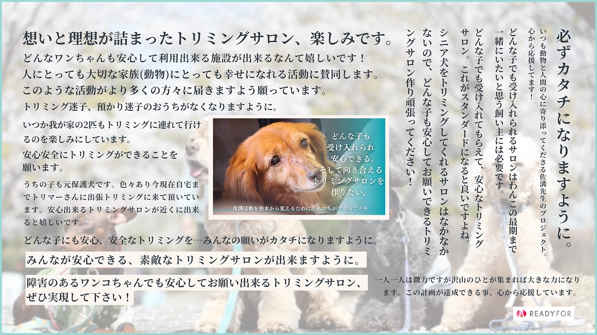 温かい応援コメント、ありがとうございます！厳しい戦いですが、1月中に700万円達成を目指しています。