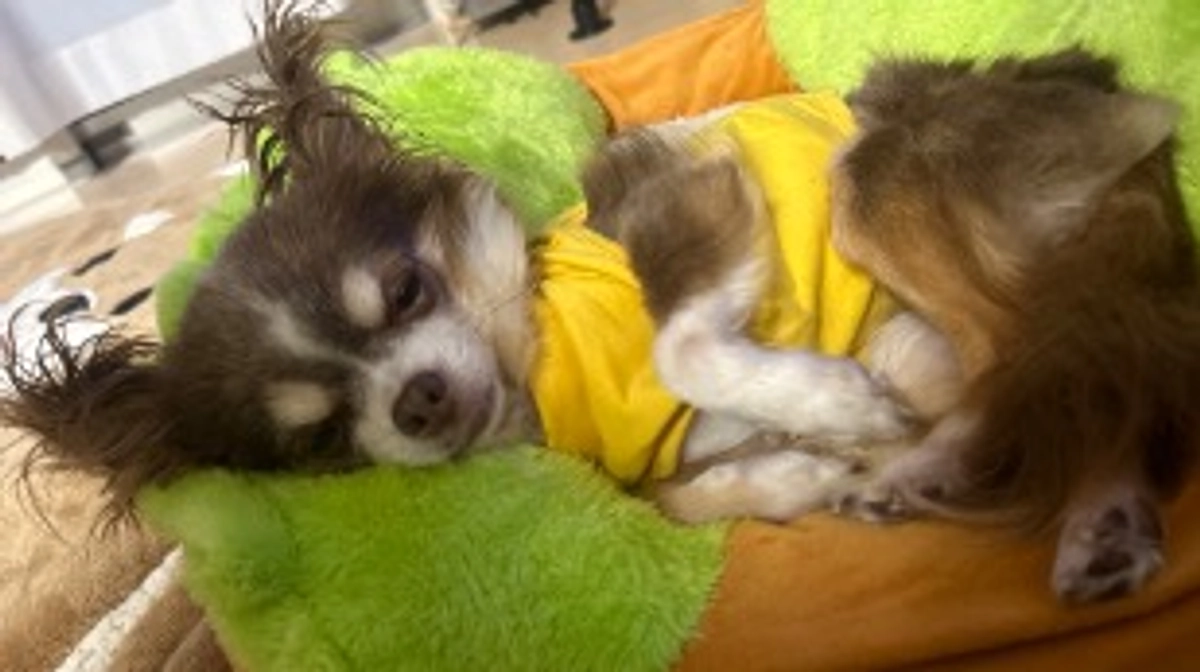 皆様に感謝です。