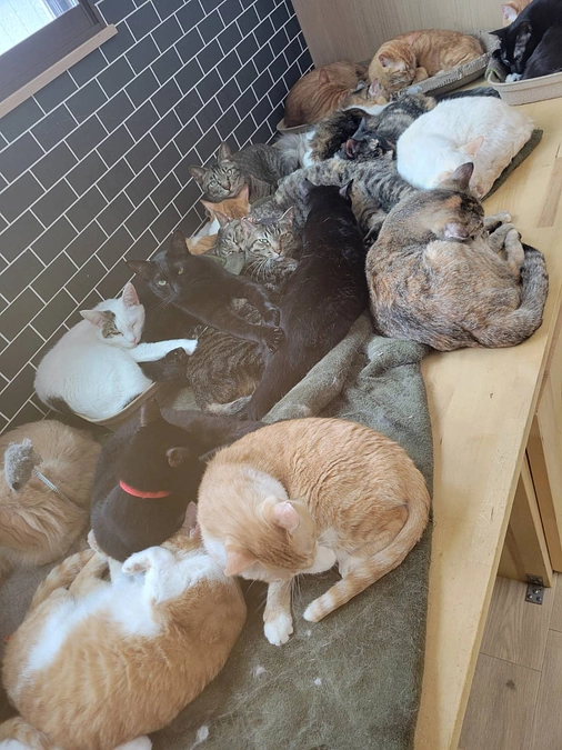 スタッフみもらさんの願い…