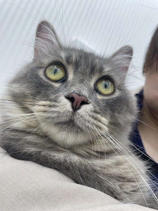 投薬60日目　大きいお友達