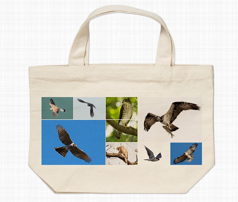 【期間限定❗️オリジナル野鳥Tシャツ＆バッグ販売のお知らせ】