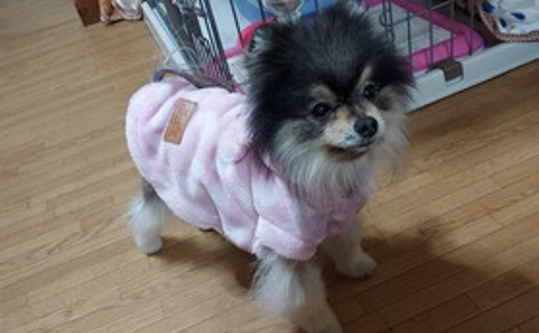 ティアラへのご支援よろしくお願いします2