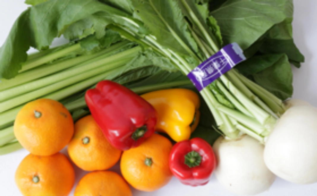 【法人向け協賛プラン】チラシ同梱+Organic野菜セット 1年間定期的にお届け！