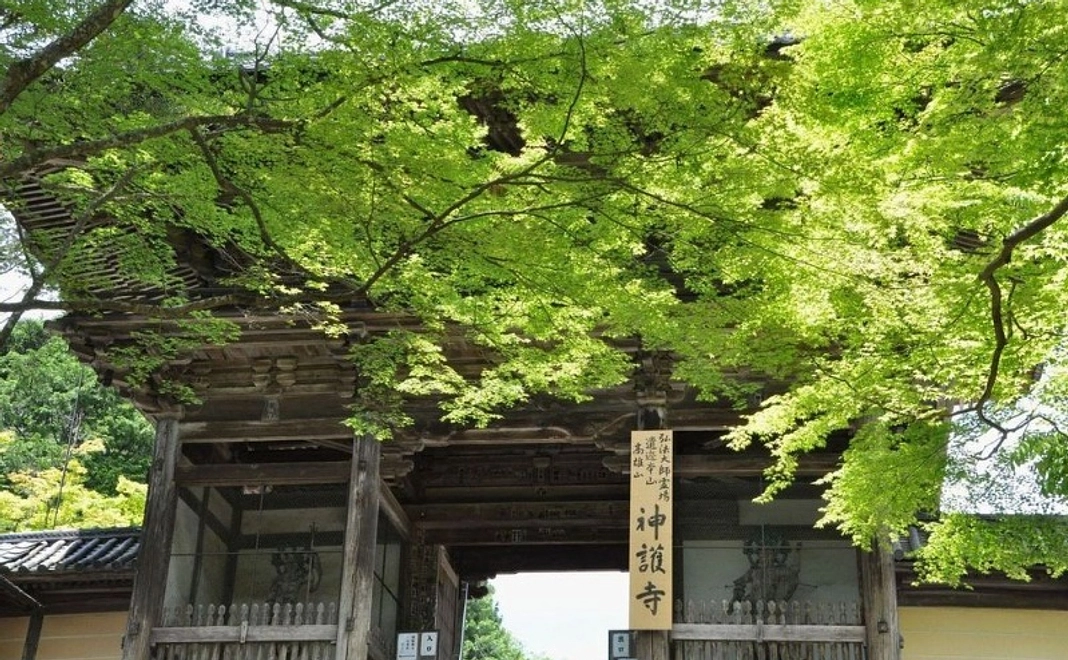 【A】お気持ち応援・拝観券コース