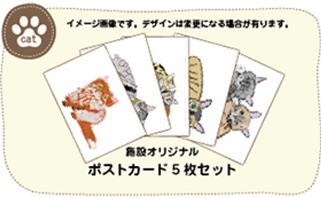 ポストカード５枚セット／お礼メール