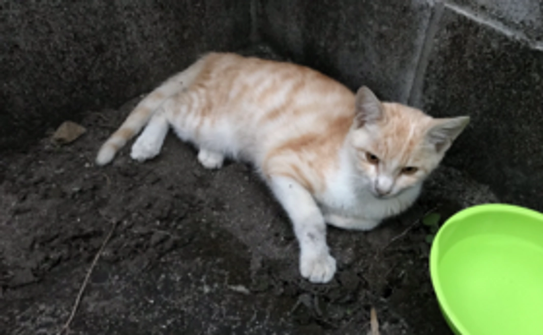 応援ありがとう