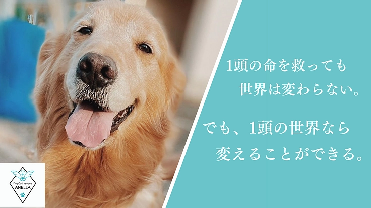 1頭の世界を変える。医療用シェルター兼ふれあいカフェ新設にご支援を
