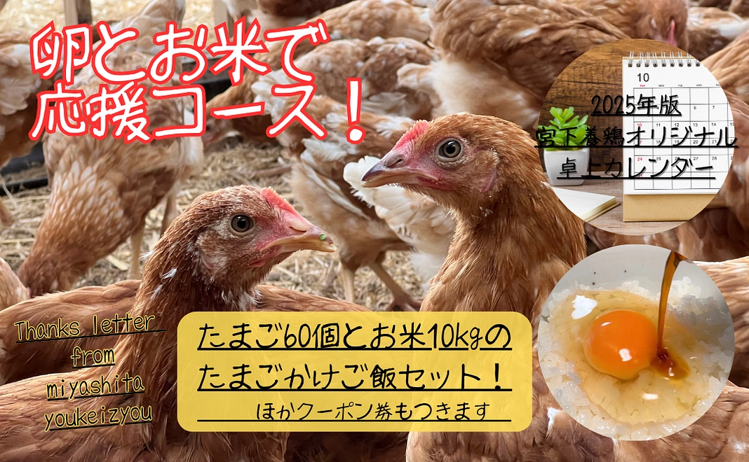 宮下養鶏を「たまごとお米で応援！」コース２