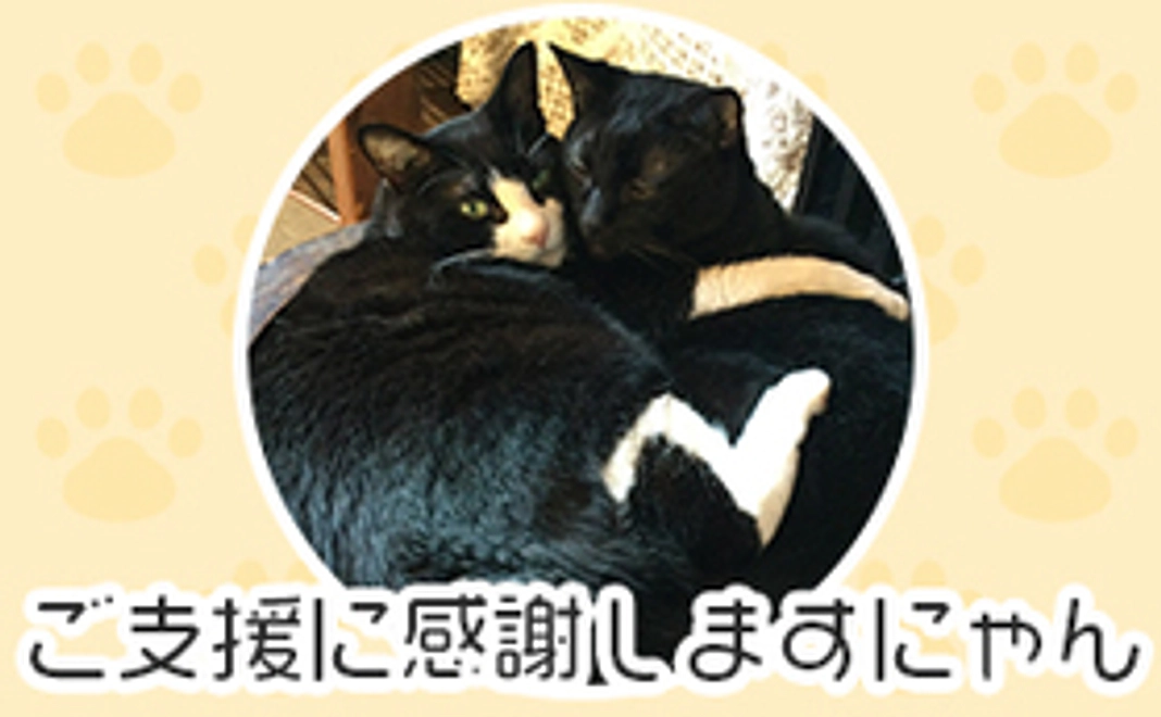 ご支援に感謝いたしますにゃん！　（返礼品なし）