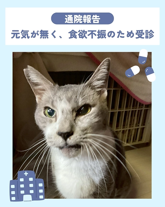 シェルターは、大大大パニック😱🌀