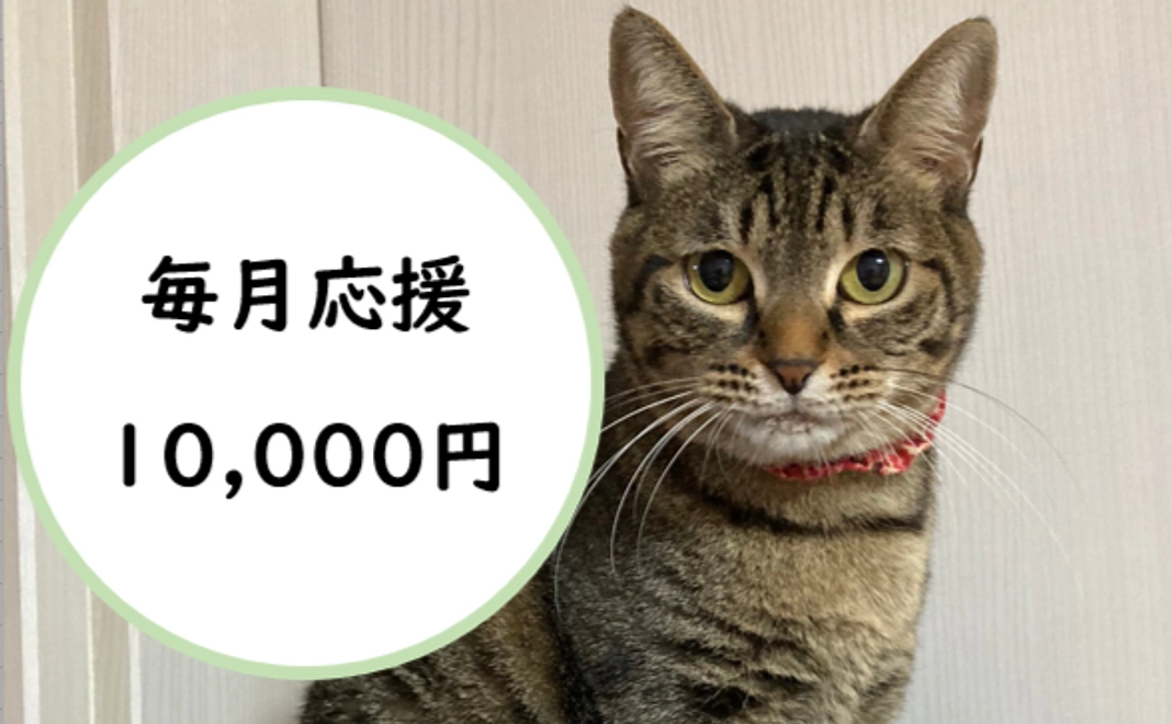 毎月応援！10,000円