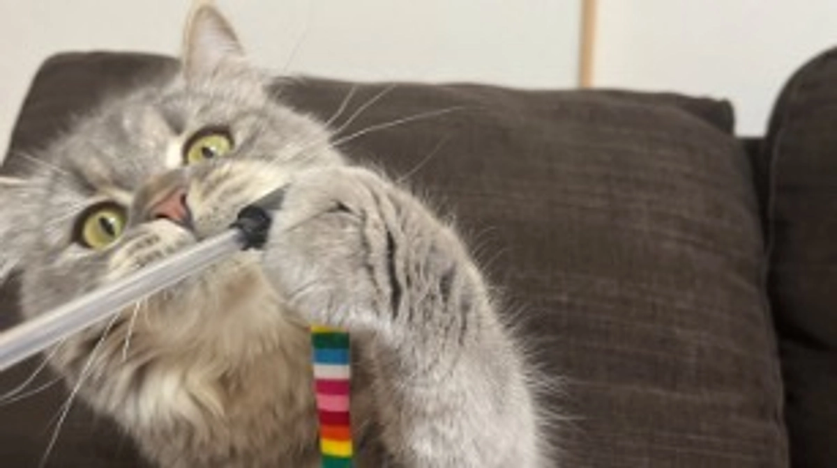 クラウドファンディング達成について　闘病６５日目