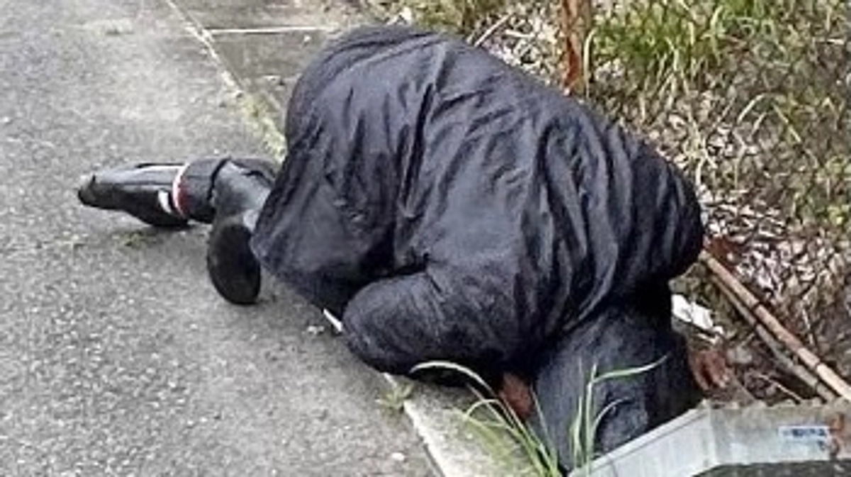 老犬の迷子について